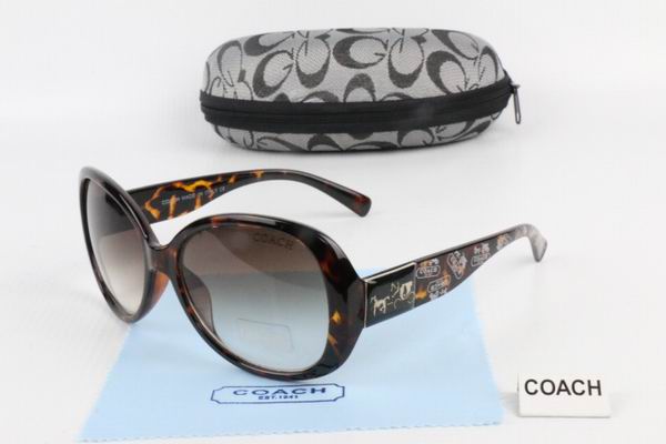 C0ACH Boutique Sunglasses 010